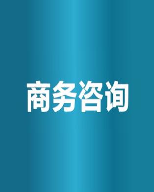 商务咨询与信息咨询服务 企业决策的智慧引擎
